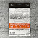 Морква Болтекс 500 шт інкрустоване насіння Велес, фото 2