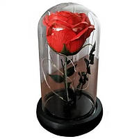 Світлодіодний LED нічник "Вічна троянда" у скляній колбі з підсвічуванням