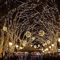 Гірлянда вулична 800 LED 50М Теплий білий Вуличний