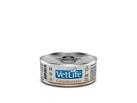 Farmina (Фарміна) Vet Life Convalescence вологий корм для кішок у період одужання 85г