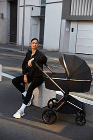 Універсальна коляска Anex Flo, Solo