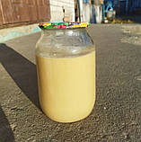 Згущене молоко 0.5 кг реторт Крамниця, фото 2