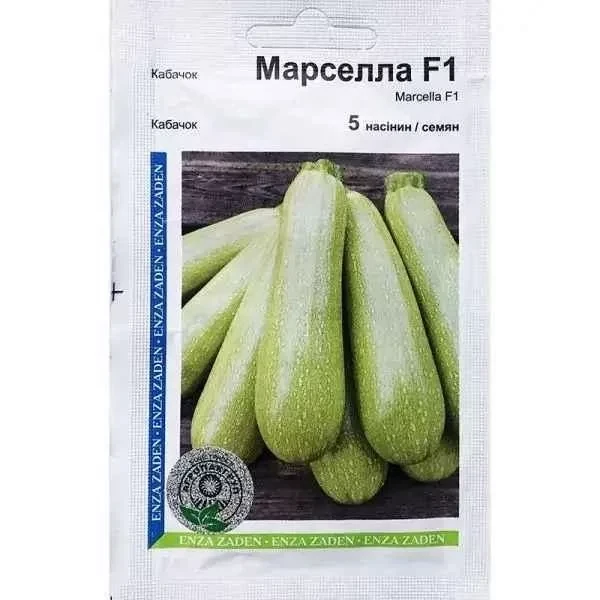 Кабачок Марселла F1 - 5 нас (Агропакгруп)