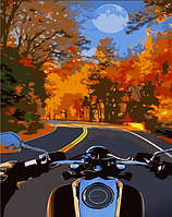 Картини по номерах "На мотоциклі восени" 30х40см №SS6761/Strateg/