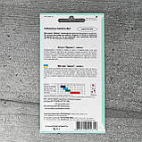 Айстра Ідеал суміш 0,1 г насіння пакетоване Агропак, фото 2