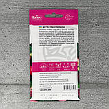 Айстра помпонна Суміш 0,3 г насіння пакетоване Велес, фото 2