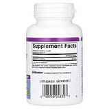 Оригінал! Вітамінно-мінеральний комплекс Natural Factors L-теанін, 250 мг, Stress-Relax, Suntheanine, L-Theanine, 60, фото 2