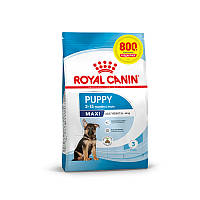 Сухий корм для цуценят великих порід Royal Canin Maxi Puppy від 2 до 15 місяців 4 кг