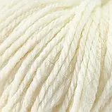 Пряжа Blue Faced Leicester Wool/Блю Фейс Лейстер Вул, вершковий Natural Undyed 71023, Etrofil, фото 3