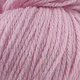 Пряжа Blue Faced Leicester Wool/Блю Фейс Лейстер Вул, ніжно-рожевий Pale pink 73227, Etrofil, фото 3