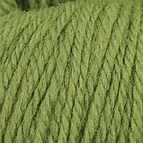 Пряжа Blue Faced Leicester Wool/Блю Фейс Лейстер Вул, салатовий Brass 74182, Etrofil, фото 2