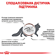 Сухий дієтичний корм Royal Canin Gastro Moderate Calorie для котів при розладах травлення, 400 г, фото 3
