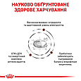 Сухий дієтичний корм Royal Canin Gastro Moderate Calorie для котів при розладах травлення, 400 г, фото 4