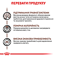 Сухий дієтичний корм Royal Canin Gastro Moderate Calorie для котів при розладах травлення, 400 г, фото 5