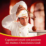 Різдвяний адвент календар Lindt Calendario Dell'Avvento Lindor 299г, фото 8