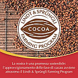 Різдвяний адвент календар Lindt Calendario Dell'Avvento Lindor 299г, фото 7