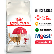 Сухий корм Royal Canin Fit 32 для дорослих кішок віком від 12 місяців до 7 років, 400 г