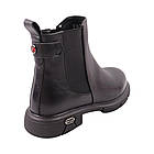 Черевики жіночі Farinni чорні натуральна шкіра, 37, фото 4