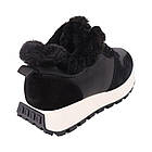 Кросівки жіночі Li Fexpert чорні натуральна шкіра, 38, фото 4