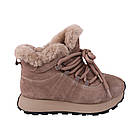 Черевики жіночі Li Fexpert капучіно натуральна замша, 38, фото 3