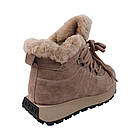 Черевики жіночі Li Fexpert капучіно натуральна замша, 38, фото 4