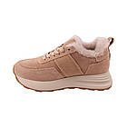 Кросівки жіночі Gifanni бежеві натуральна замша, 38, фото 2