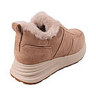 Кросівки жіночі Gifanni бежеві натуральна замша, 38, фото 4