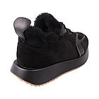 Кросівки жіночі Berisstini чорні натуральна замша, 40, фото 4