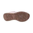 Кросівки жіночі Farinni бежеві натуральна шкіра, 38, фото 6