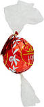 Подарунковий набір шоколадних цукерок Lindt Lindor Maxiboule Praline di Cioccolato al Latte 250 г, фото 5