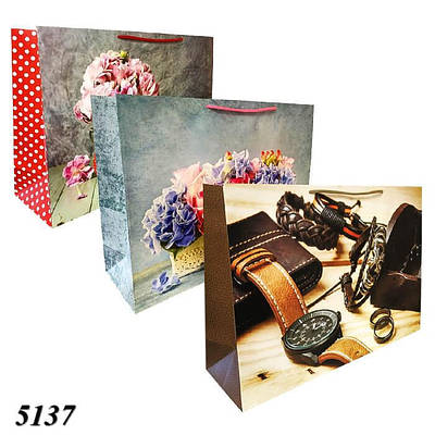 Пакет подарунковий паперовий 50х35х15 см (10шт)