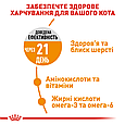Сухий корм Royal Canin Hair & Skin для котів для підтримки здоров'я та краси шкіри та шерсті, 4 КГ, фото 6
