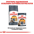 Сухий корм Royal Canin Hair & Skin для котів для підтримки здоров'я та краси шкіри та шерсті, 4 КГ, фото 9