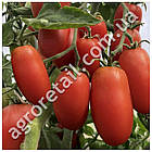 Томат Санміно F1 10 шт Syngenta Професійне насіння, фото 2