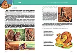 Велика книга про тварин (Найкращий подарунок), фото 2