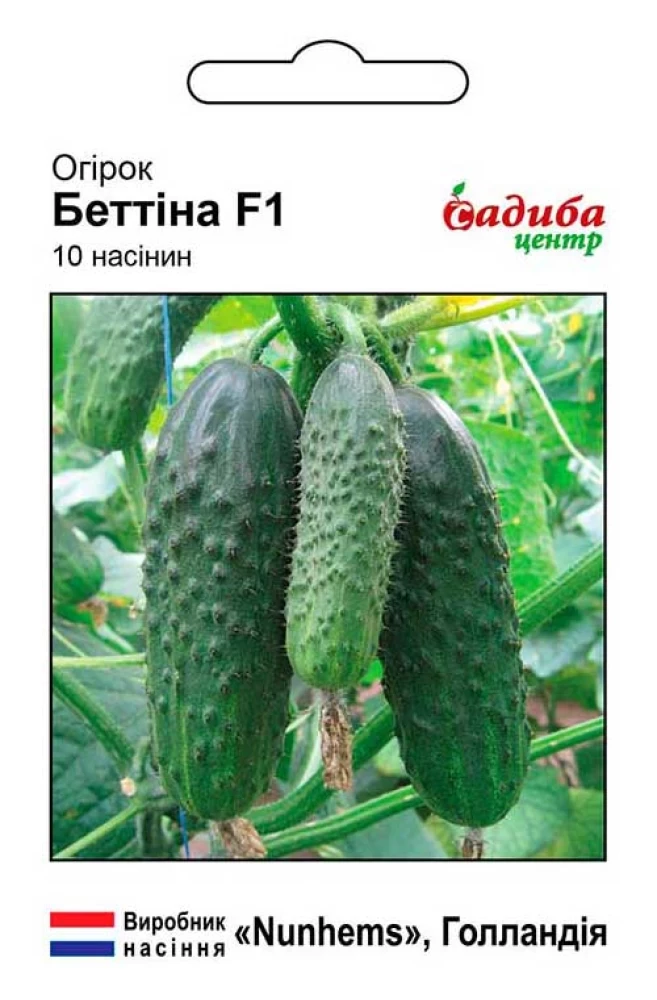 Огірок Бетіна F1, 10 шт,Nunhems Zaden (Голландія)