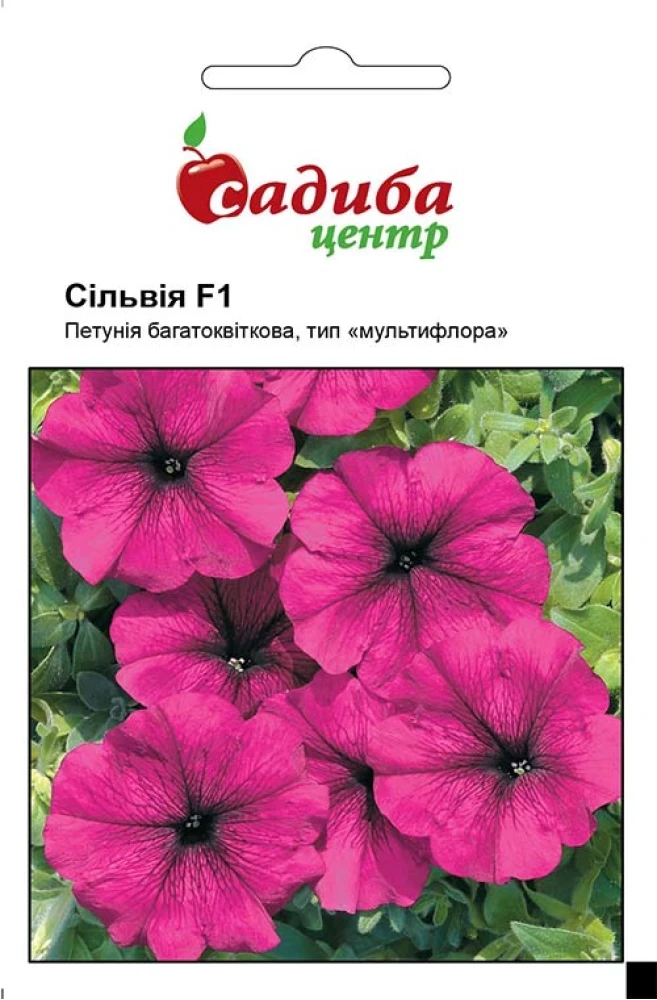 Петунія Сільвія F1, 10 гранул Černý Seed, Чеська Республіка