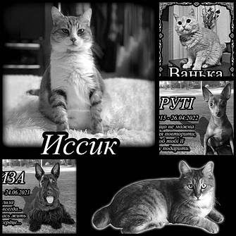 Пам'ятники тваринам