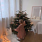 ЖИВА НОВОРІЧНА ЯЛИНА НОРДМАНА, ВИСОТА 1.25-1.5 м. З АВСТРІЇ ТА ДАНІЇ, фото 5