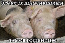 Годівниця для свиней, бункерна I-секційна (1-10 голів), фото 5