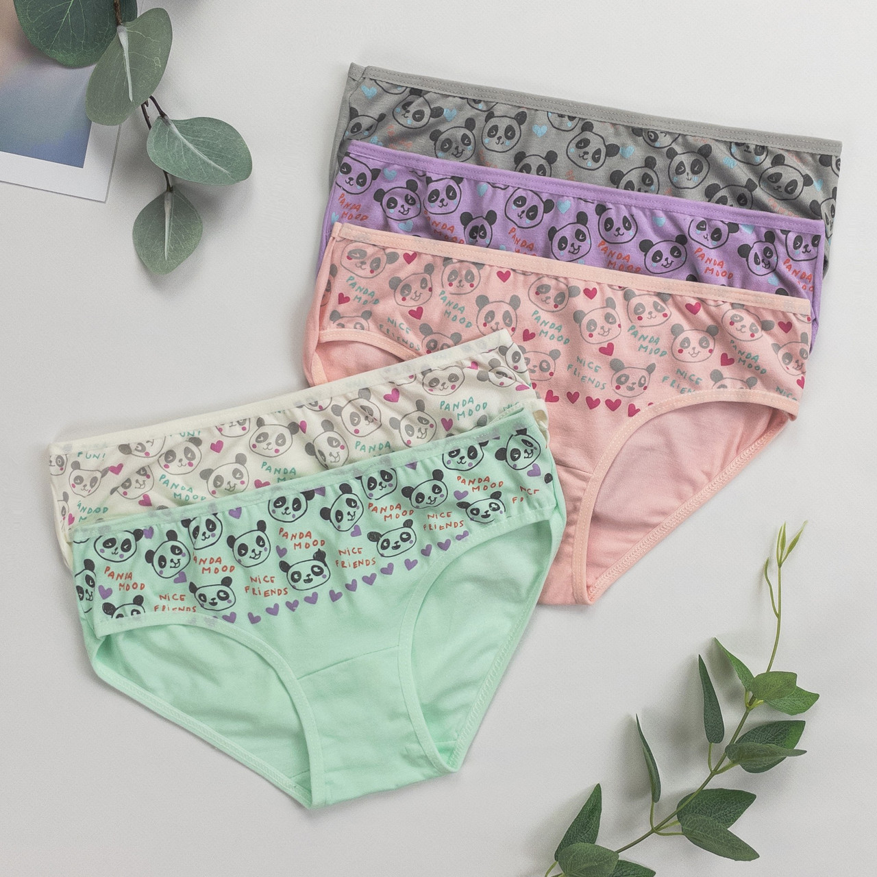 Труси дитячі сліп для дівчинки Nicoletta (вік: 4-5, 5-6, 6-7 років) | 5 шт.