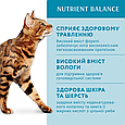 Вологий корм Optimeal Adult Cats Trout cream sause з фореллю в кремовому соусі для дорослих котів, пауч 85г, фото 3