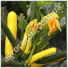 Кабачок Голден Глорі F1 5 шт Syngenta Професійне насіння, фото 2