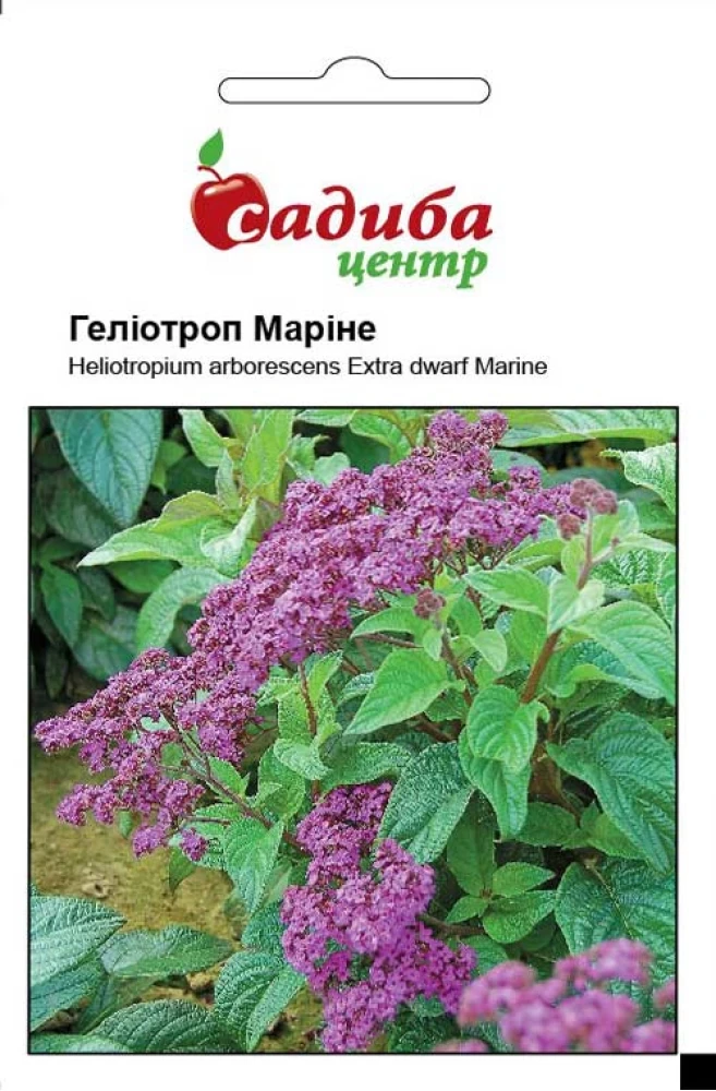 Геліотроп Маріне 0,1 г. Hem Zaden BV, Нідерланди