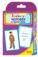 Человек и части тела  (рос. мова)