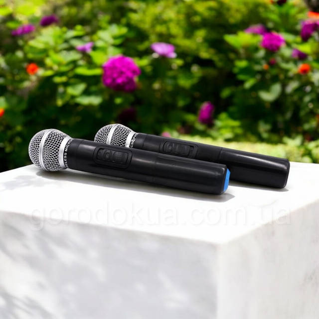 Акустическая система 2500W ZXX 9191X колонка чемодан с микрофоном