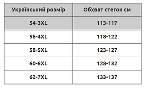 Купальник танкіні Sisianna 318001-12 бірюзовий 54 56 58 60 62 український розмір, фото 4