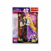 Пазл Чарівні принцеси. Disney Princess (54 ел.) 19716 (Trefl)