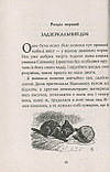 Книга Аліса у Задзеркаллі. Автор - Керрол Льюїс (Богдан), фото 5