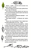Книга 69 спецій для Серця. Автор - Андрій Гудима (ВСЛ), фото 6